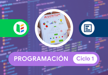 Programación 1
